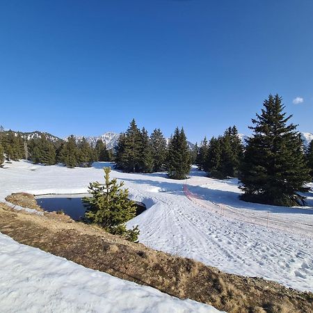Appartement Au Pied Des Pistes Et Du Park Nordique Chamrousse Exteriör bild